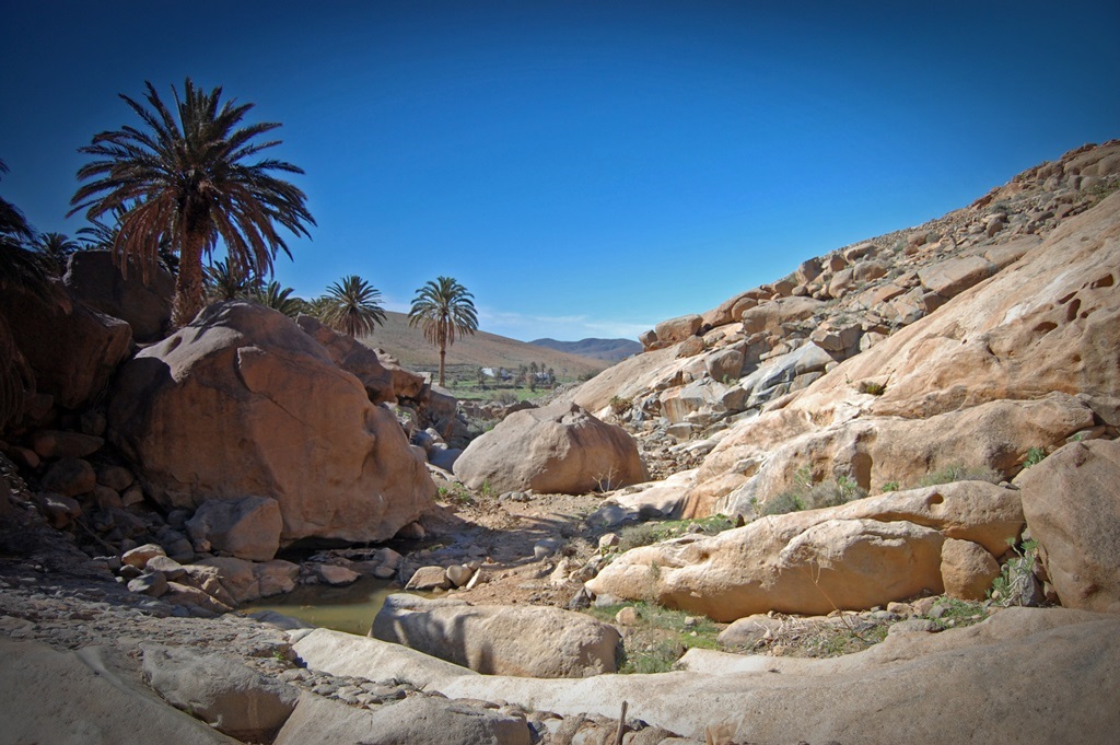 Fuerteventura Barranco